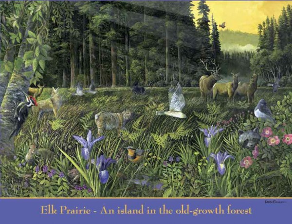 Elk Prairie Puzzle