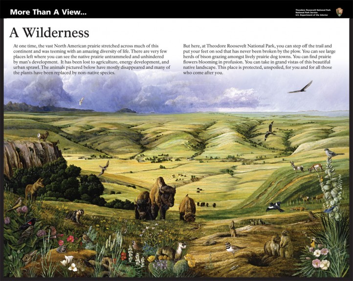 A-Wilderness-Badlands