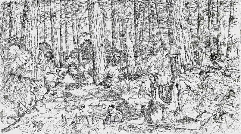 Forest-animals-sketch