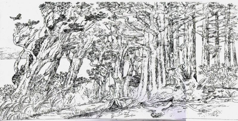 Forest-ecology-sketch