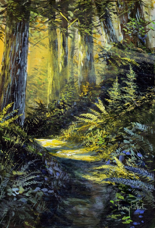 Barnes-Creek-Trail---Shadows