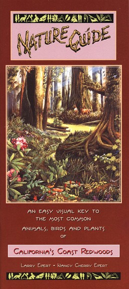 Eifert_Nature_Guide_Redwoods