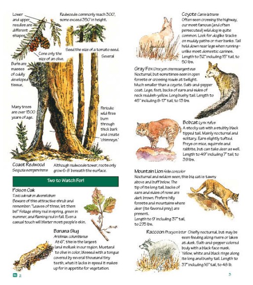 Eifert_Nature_Guide_Redwoods_2-3