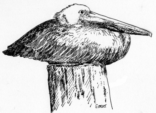 Pelican-on-Post