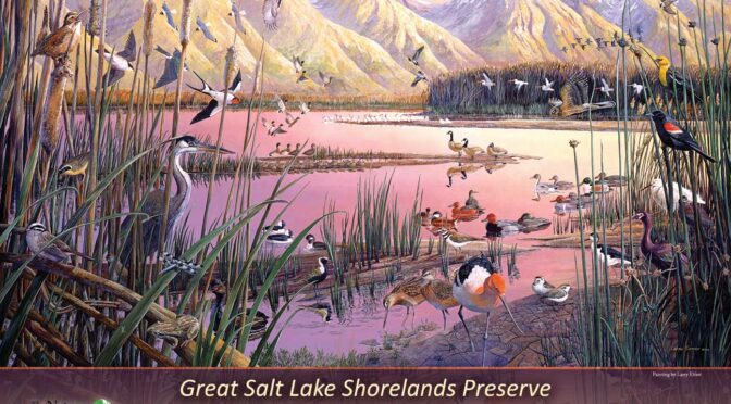Great Salt Lake – a new jigsaw puzzle