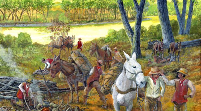 Mules and Horses – Old Spanish National Historic Trail