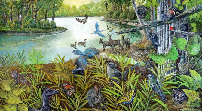 Riparian Ecosystem Painting for Aztec Ruins National Monument