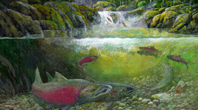 Salmon Cascades wayside painting for Olympic National Park