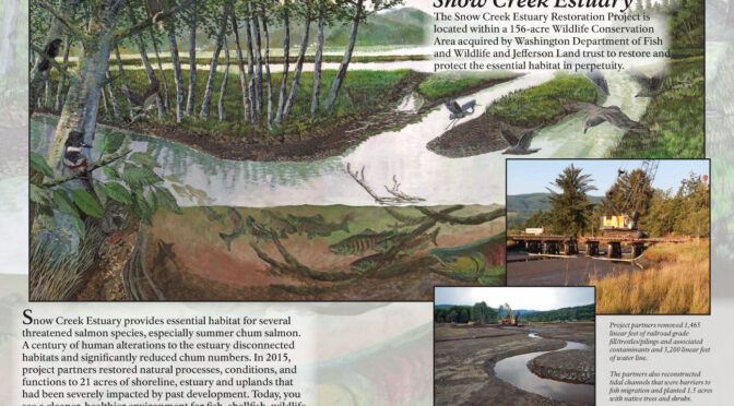 Snow Creek Restoration wayside panel sketch
