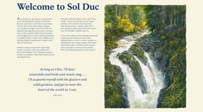 Welcome to Sol Duc Valley