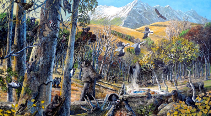 Yellowstone – Whitebark Pines Ecosystem Mural